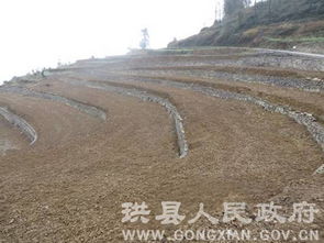 珙縣土地整理項(xiàng)目迎接市國土資源局初次評估驗(yàn)收，為房地產(chǎn)開發(fā)奠定基礎(chǔ)